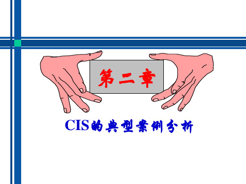 第二章 CIS的典型案例