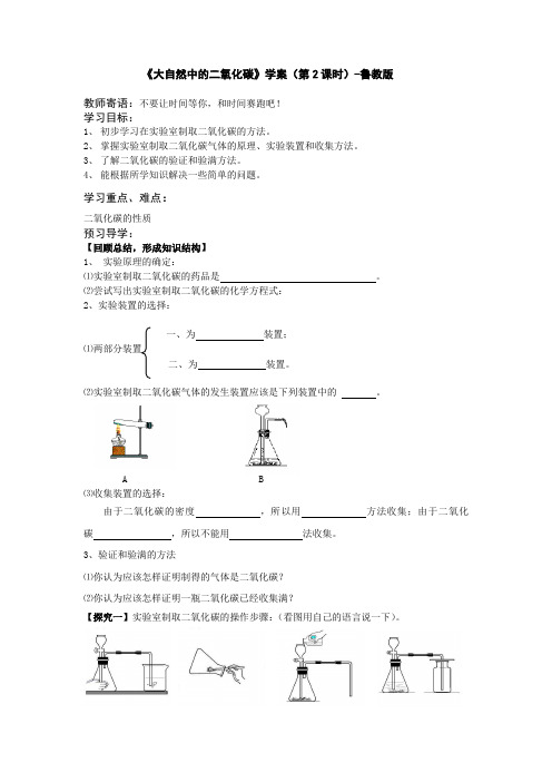 鲁教版化学八年级全一册《6.3大自然中的二氧化碳》(第2课时)鲁教版
