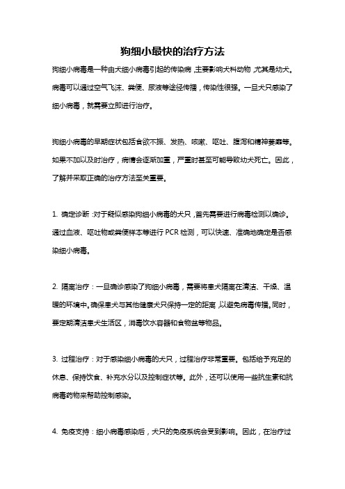 狗细小最快的治疗方法