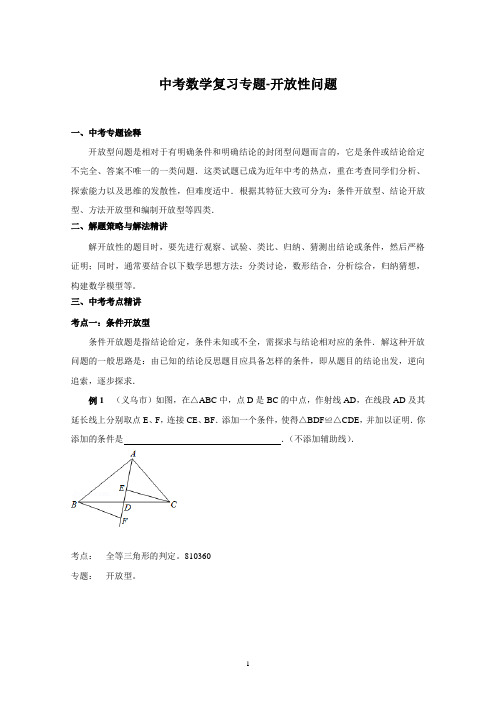 中考数学复习专题-开放性问题(含详细参考答案)