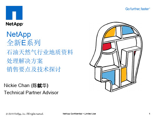 NetApp E系列(LSI)案例与产品介绍