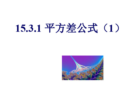 初二数学平方差公式3[人教版]