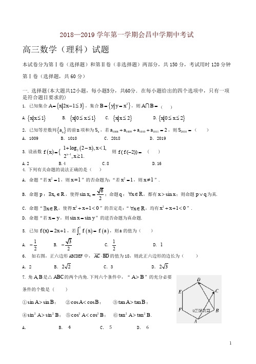 江西省会昌中学2019届高三上学期期中考试数学(理)试卷(含答案)-精编