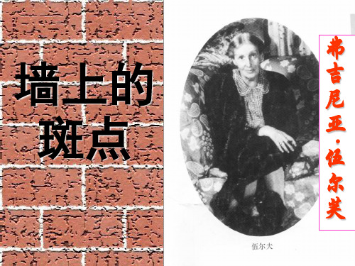 《墙上的斑点》课件