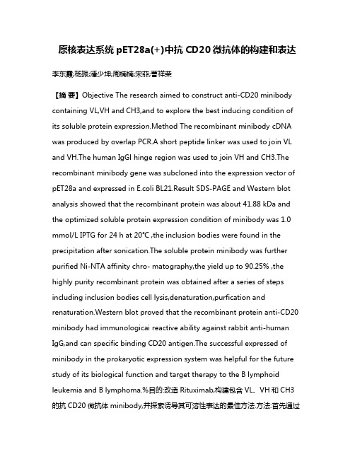 原核表达系统pET28a(+)中抗CD20微抗体的构建和表达