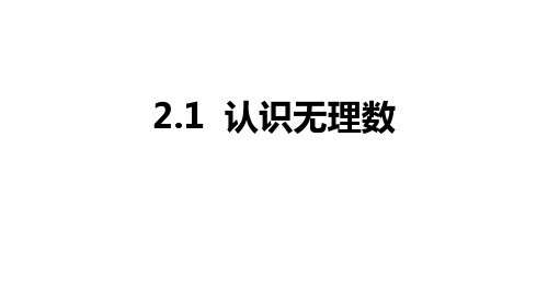 《认识无理数》实数PPT教学课件