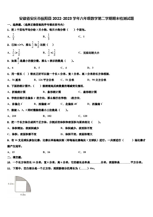 安徽省安庆市枞阳县2022-2023学年六年级数学第二学期期末检测试题含解析