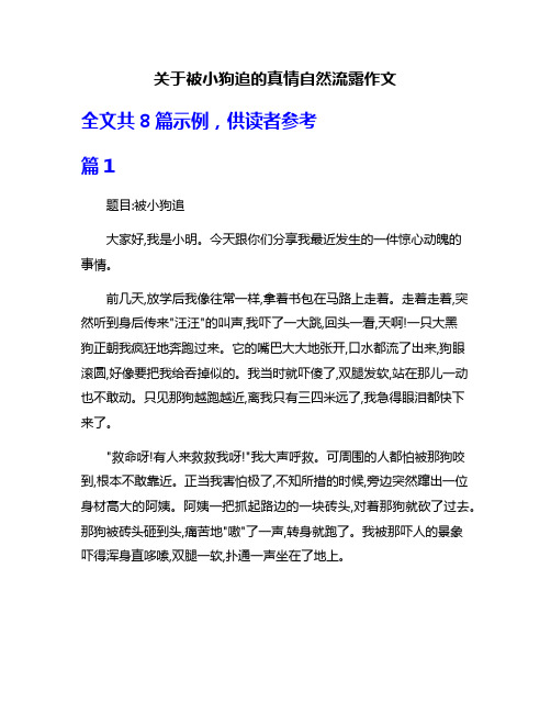 关于被小狗追的真情自然流露作文