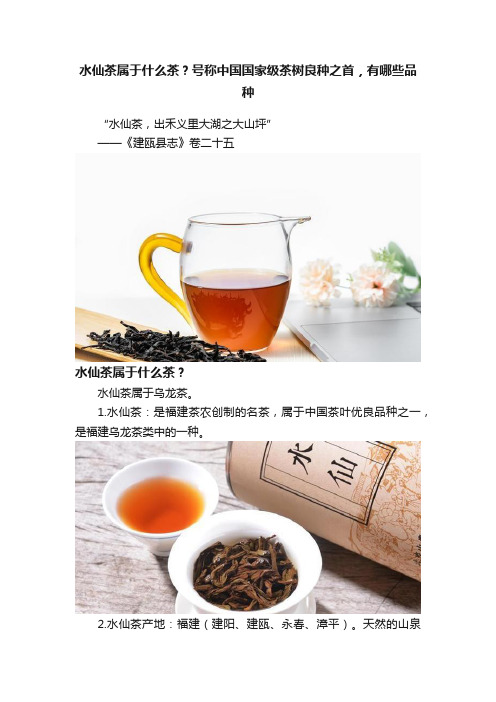 水仙茶属于什么茶？号称中国国家级茶树良种之首，有哪些品种