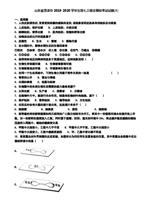 山东省菏泽市2019-2020学年生物七上期末模拟考试试题(4)