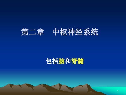 医学影像学：第二章 中枢神经系统