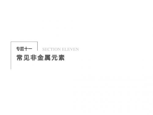 邳州市第二中学高三化学专题复习专题十一常见非金属元素课件