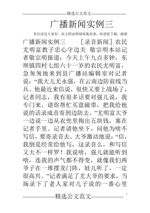 广播新闻实例三