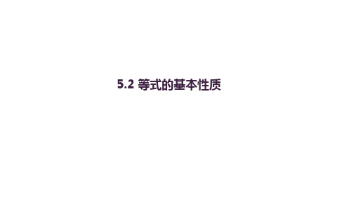 5.2 等式的基本性质 课件  2024--2025学年浙教版七年级数学上册