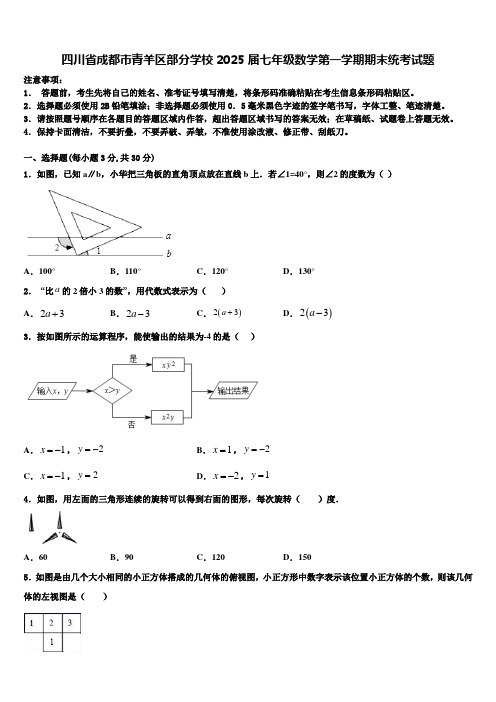 四川省成都市青羊区部分学校2025届七年级数学第一学期期末统考试题含解析