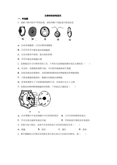 2020年 人教版 八年级 生物体的结构层次专题复习练习题(有答案)