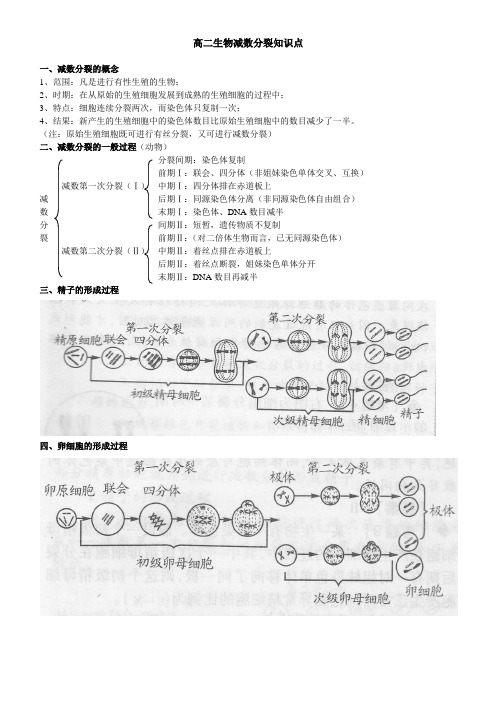 减数分裂知识点总结