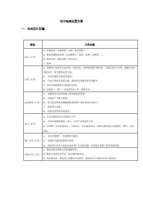 苏宁运营方案。