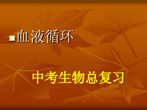 人教版中考生物血液循环复习课件