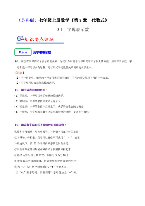 字母表示数(五大题型)(原卷版)