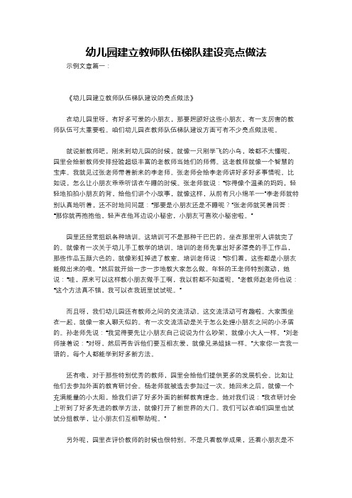 幼儿园建立教师队伍梯队建设亮点做法