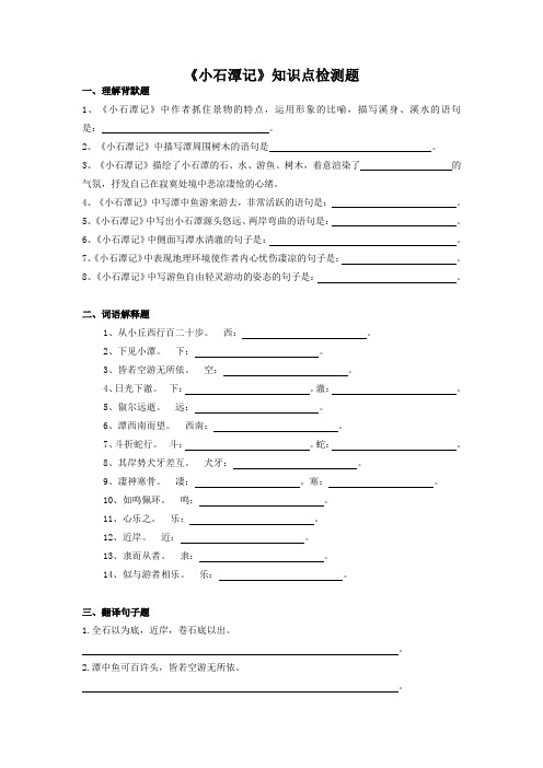 2024年中考语文文言文专题复习：《小石潭记》知识点检测题(含解析)