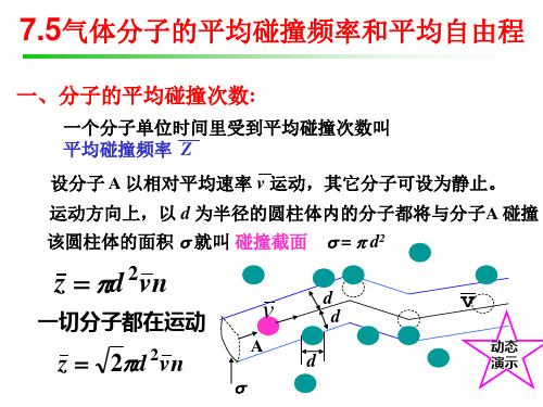 大学物理  7.5 气体分子的平均碰撞频率和平均自由程