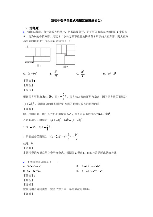 新初中数学代数式难题汇编附解析(1)