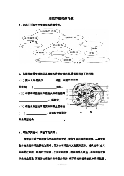 细胞的基本结构练习题(含答案)