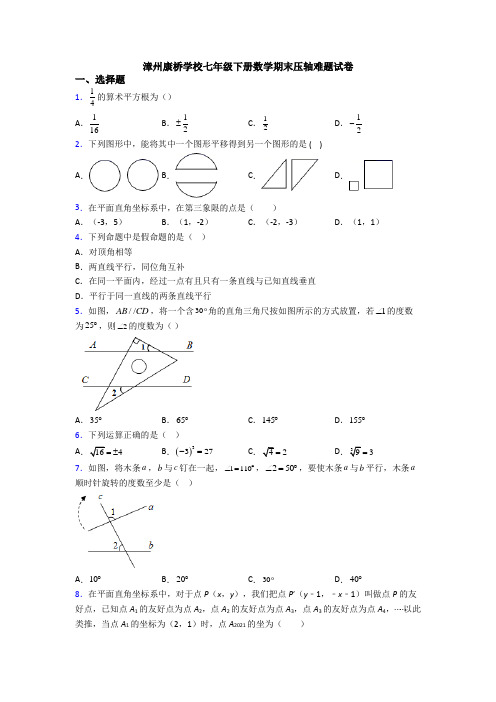 漳州康桥学校七年级下册数学期末压轴难题试卷