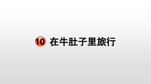 《在牛肚子里旅行》完美版课件1