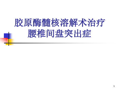 胶原酶髓核溶解术治疗腰椎间盘突出症PPT课件