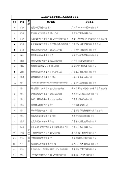 2018年广东省智能制造试点示范项目名单