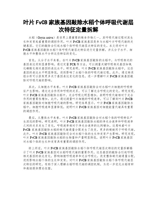 叶片FvCB家族基因敲除水稻个体呼吸代谢层次特征定量拆解