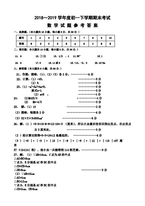 2018-2019学年度下学期期末质量检测初一数学答案