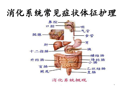 消化系统常见症状体征护理PPT课件