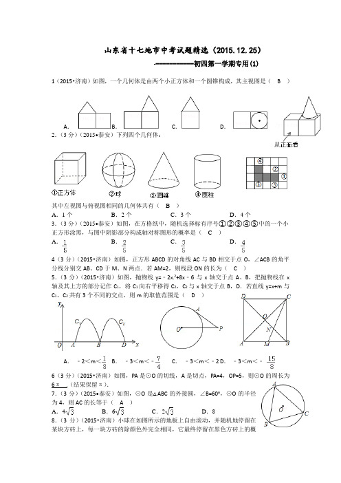 山东省十七地市中考试题精选一答案