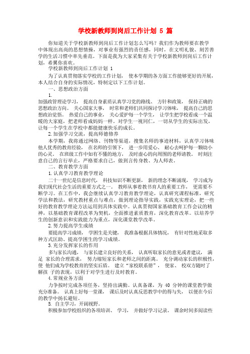 学校新教师到岗后工作计划5篇