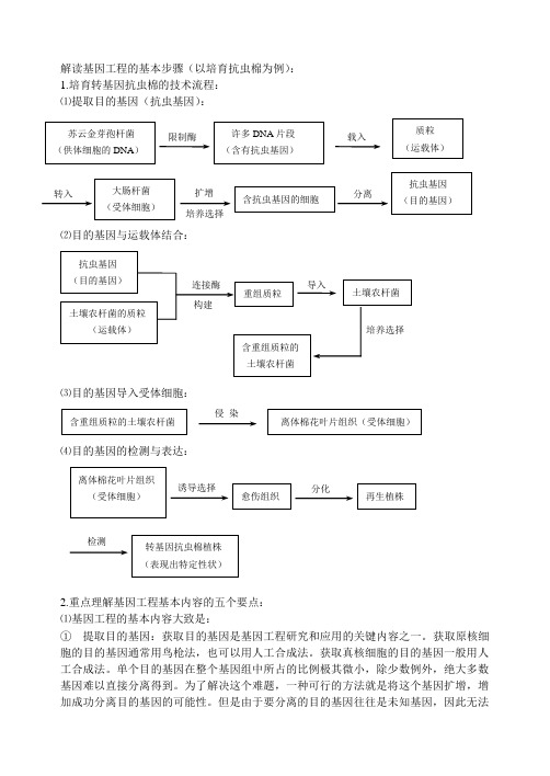 基因工程的基本步骤