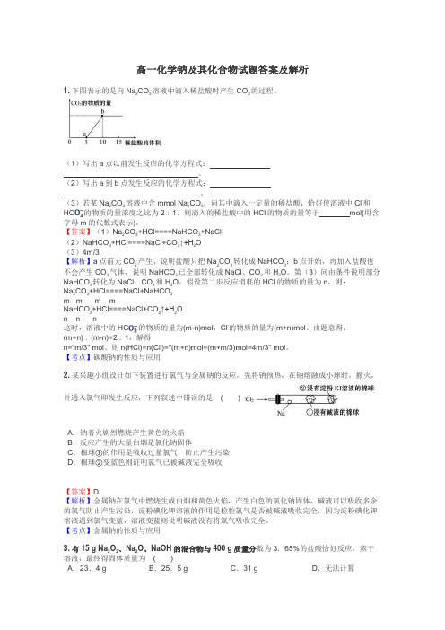 高一化学钠及其化合物试题答案及解析
