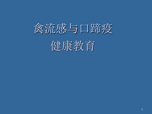 禽流感口蹄疫ppt课件