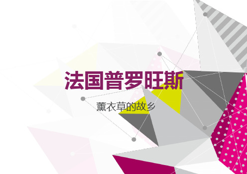 法国普罗旺斯乡村旅游开发模式借鉴