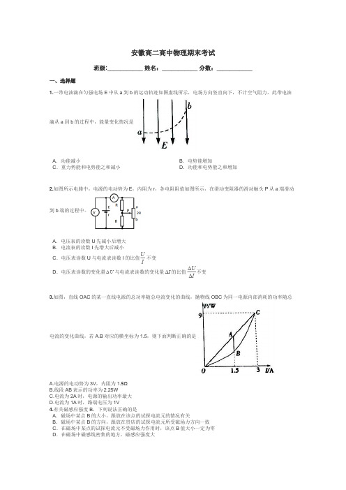 安徽高二高中物理期末考试带答案解析
