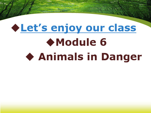 外研版高中英语必修5Module6AnimalsinDangerReading课件