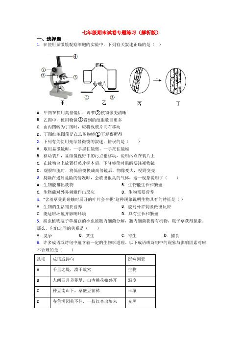 七年级期末试卷专题练习(解析版)