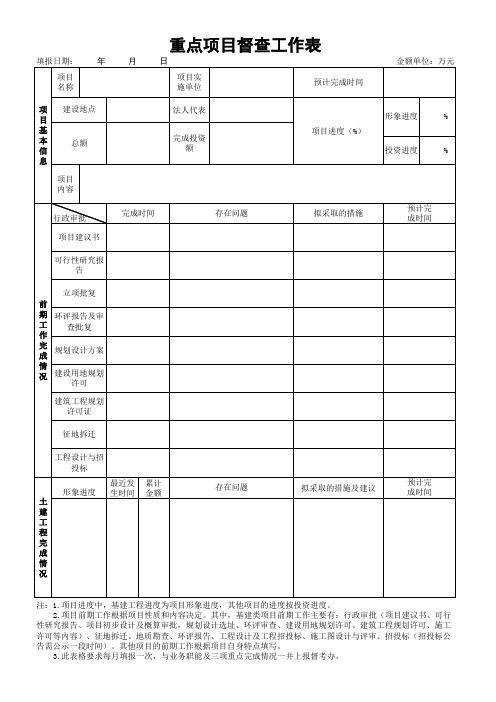 重点项目督查工作表