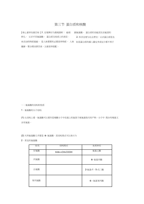 蛋白质和核酸学-人教版高中化学选修5学案设计