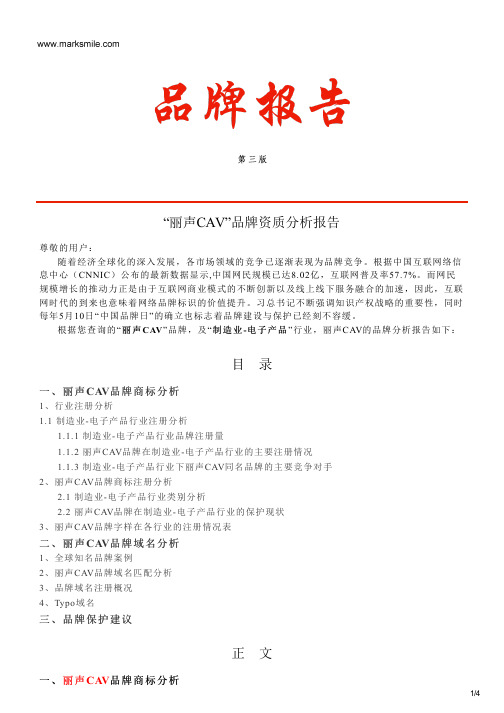 丽声CAV的品牌资质分析报告