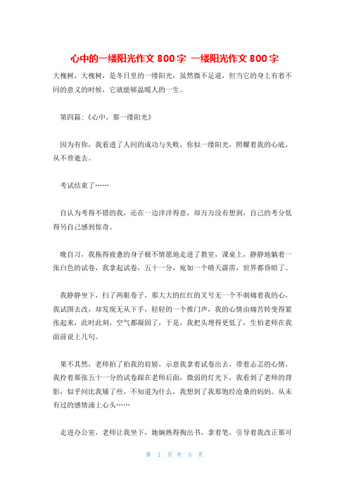 心中的一缕阳光作文800字 一缕阳光作文800字