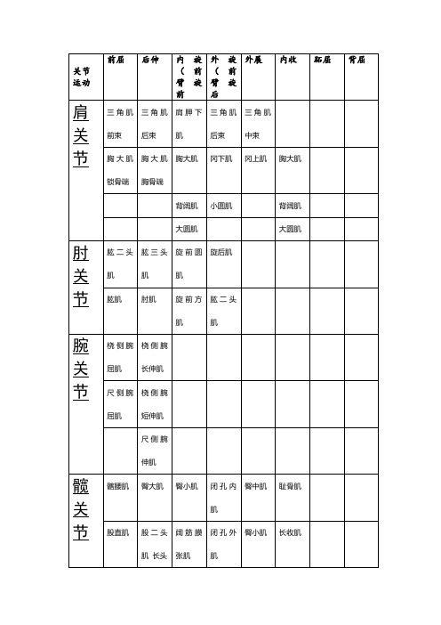 人体肌肉表格